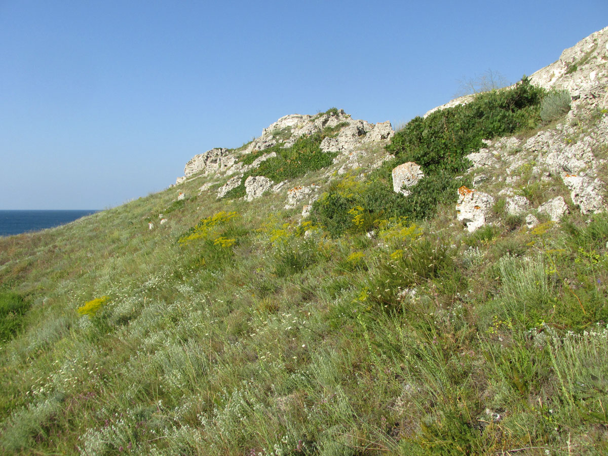 Джангуль, изображение ландшафта.