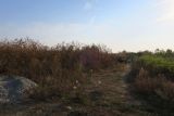 Image of landscape