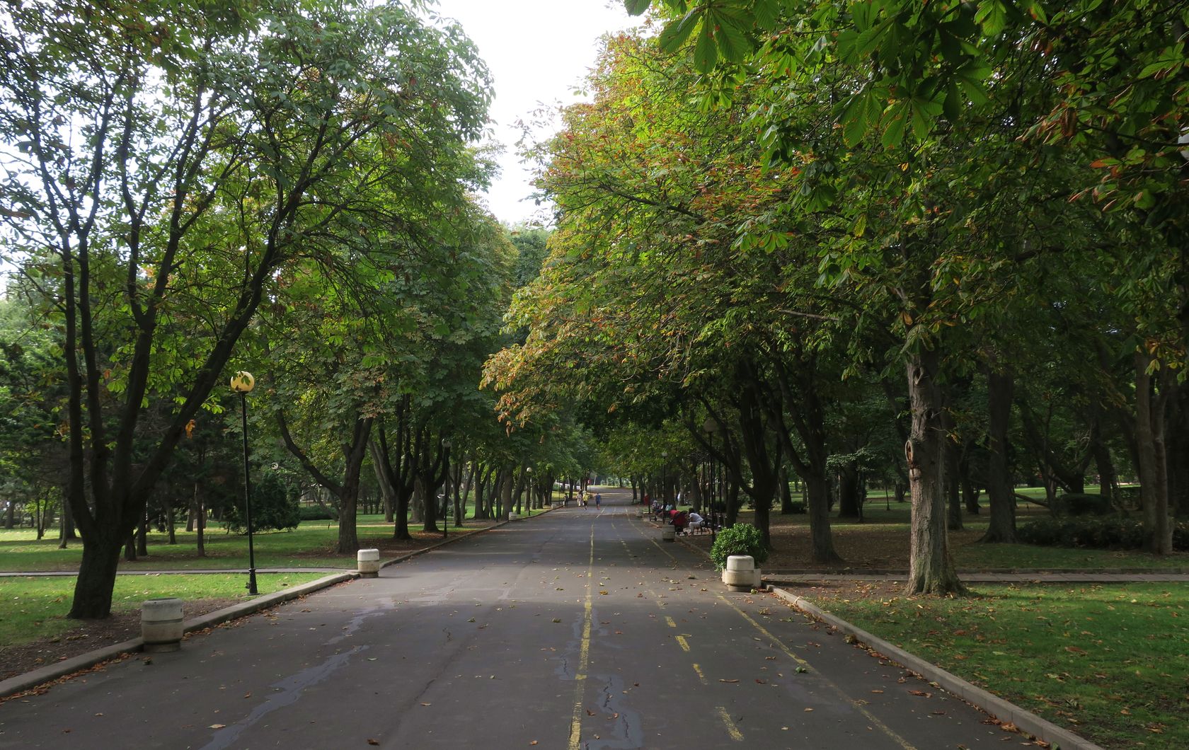Бургас, image of landscape/habitat.