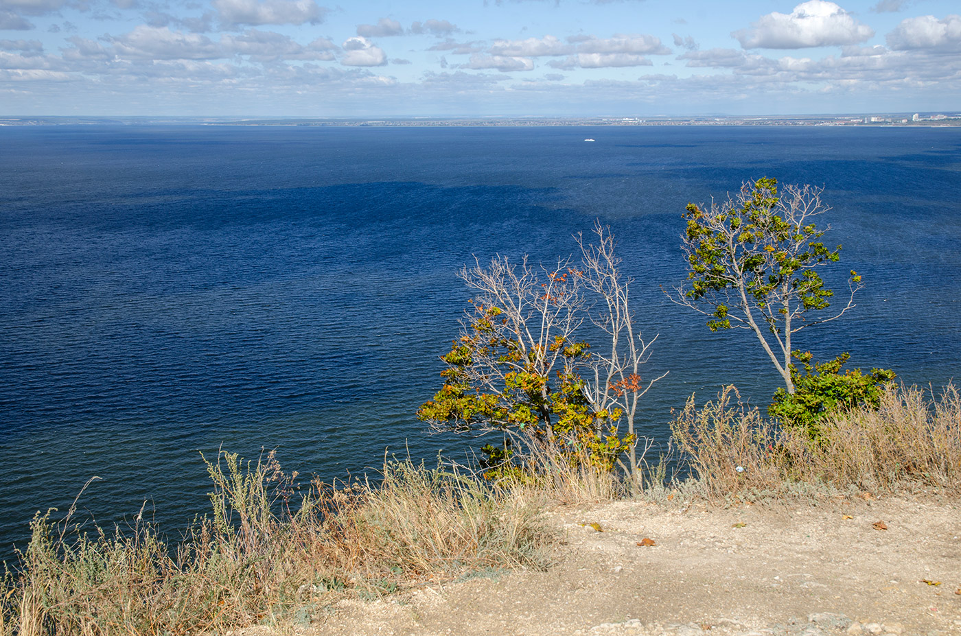 Молодецкий курган, image of landscape/habitat.