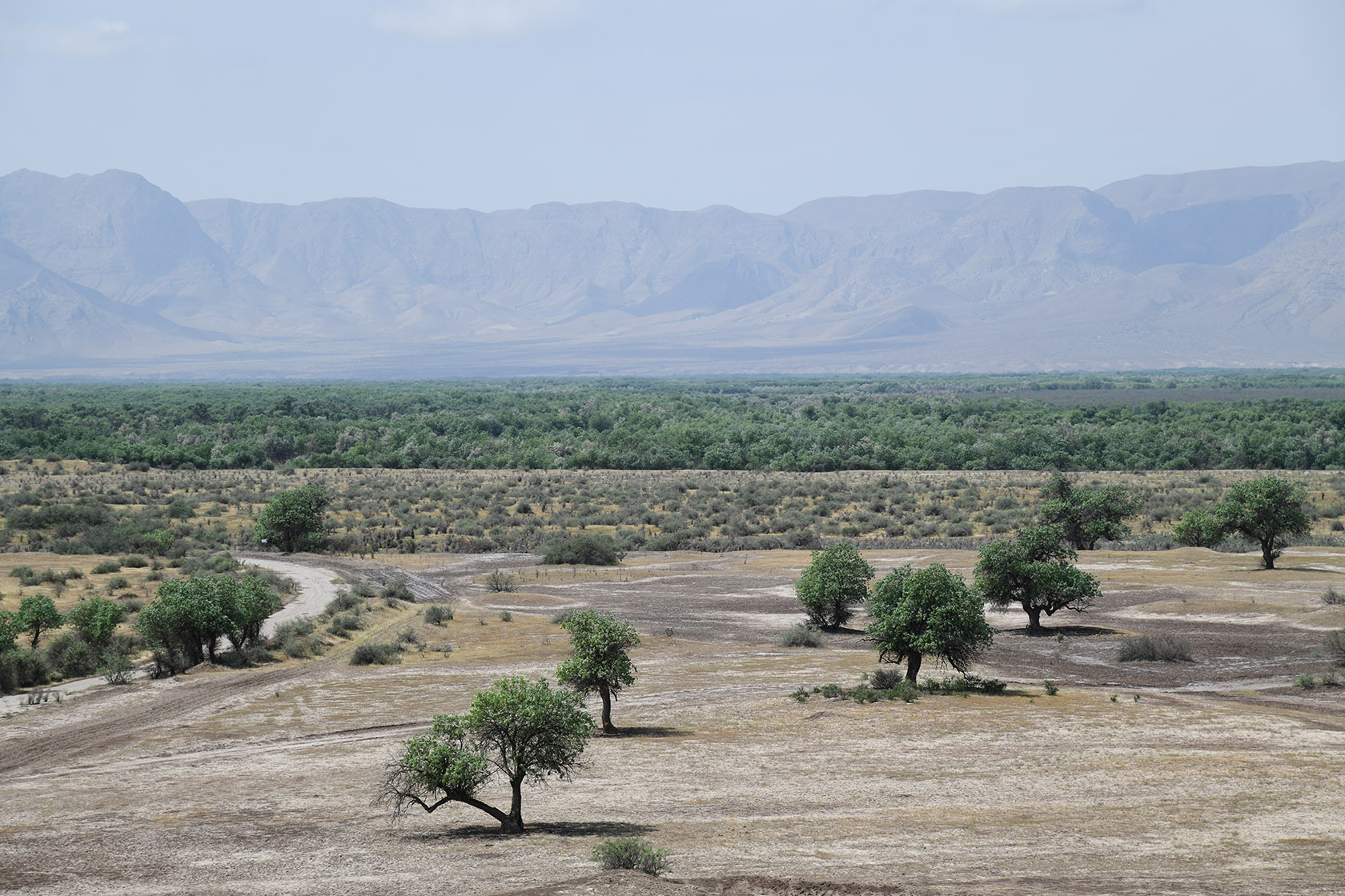 "Королевская дача", image of landscape/habitat.