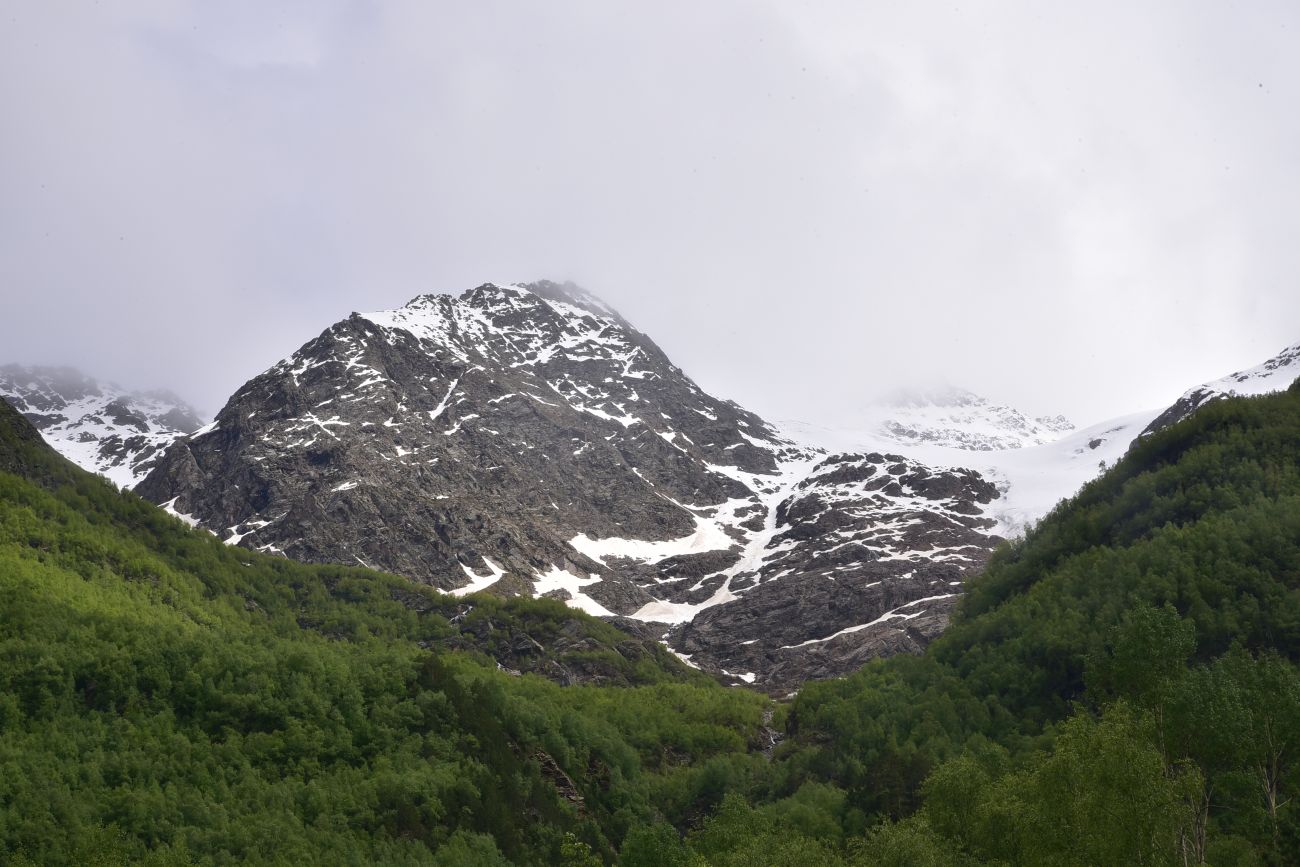 Гора Большой Когутай, image of landscape/habitat.