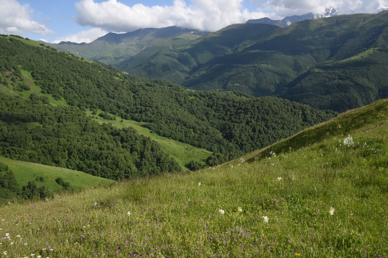 Хиндушты, image of landscape/habitat.