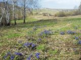 Долина реки Шипунихи, image of landscape/habitat.