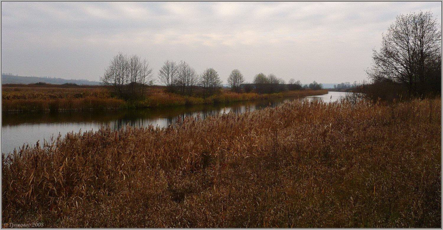 Старая Пьяна, image of landscape/habitat.