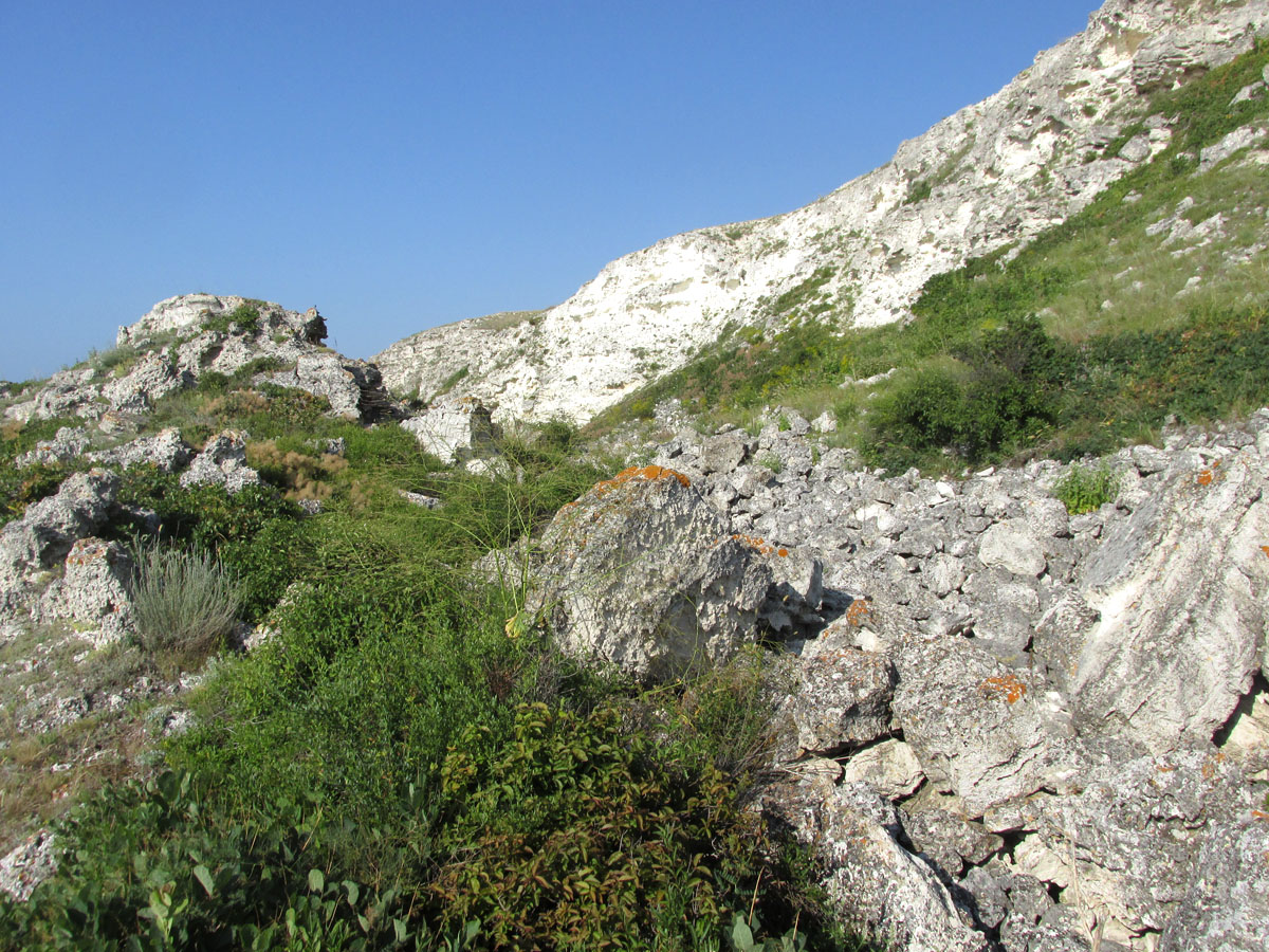 Джангуль, image of landscape/habitat.