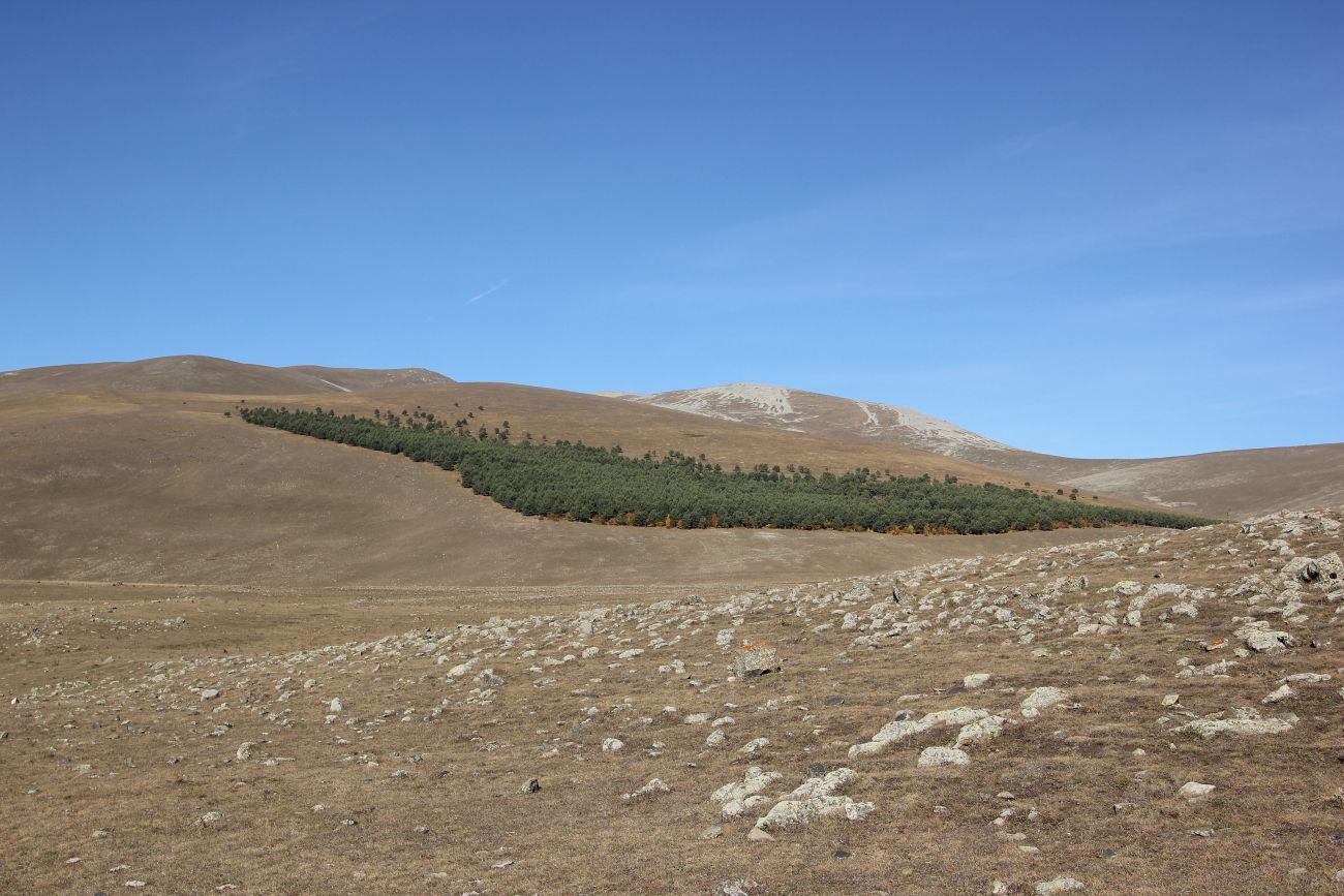 Окрестности горы Патара Абули, изображение ландшафта.
