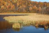 Image of landscape