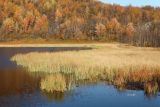 Горелая сопка, image of landscape/habitat.