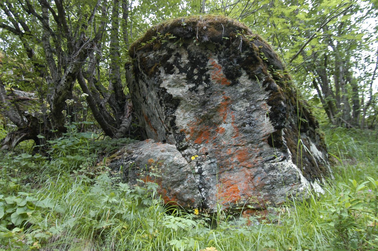 Ручей Когутайка, image of landscape/habitat.