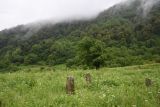 Image of landscape