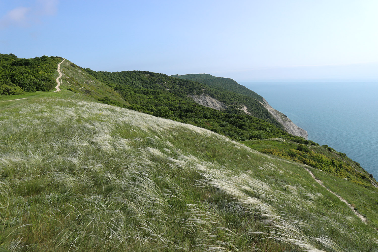 Супсех, image of landscape/habitat.