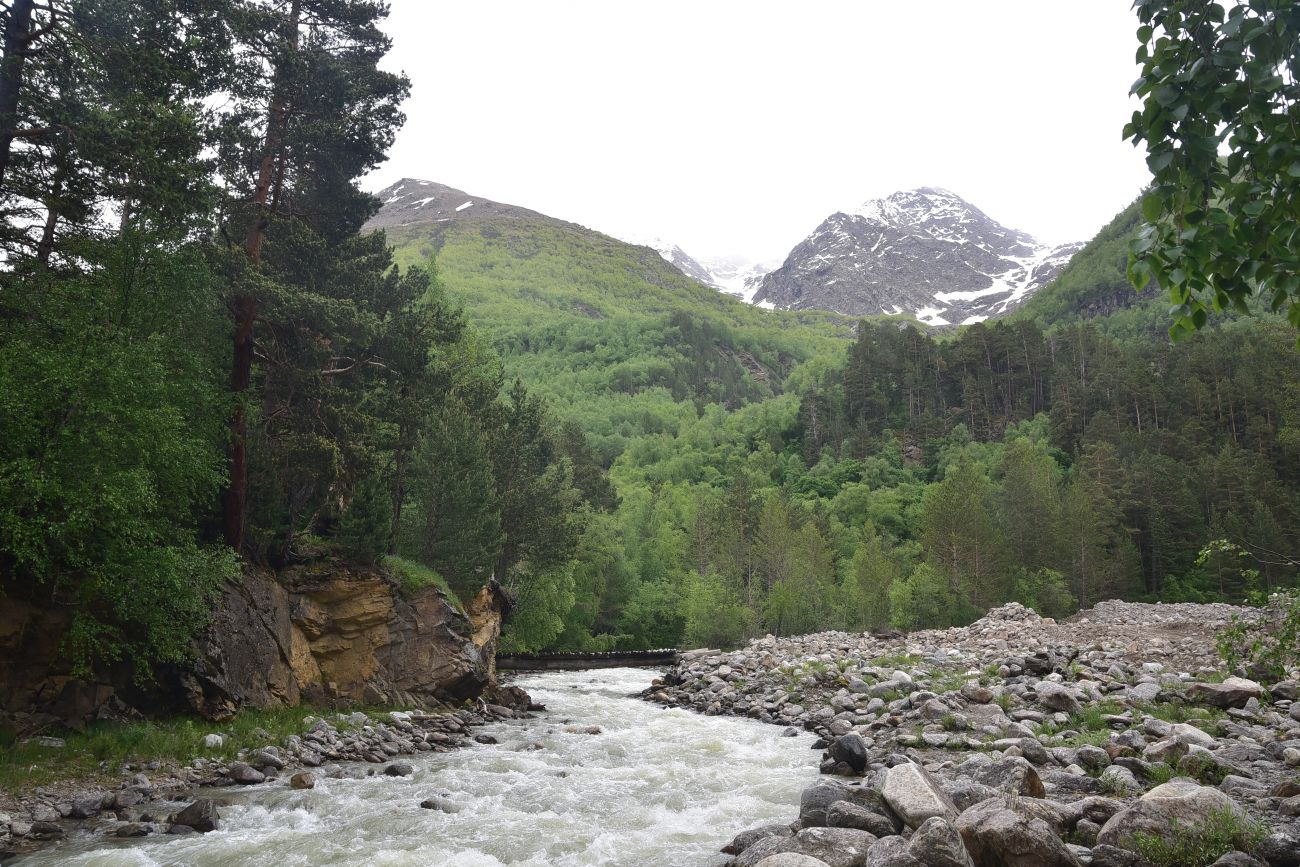 Долина реки Донгуз-Орун, image of landscape/habitat.