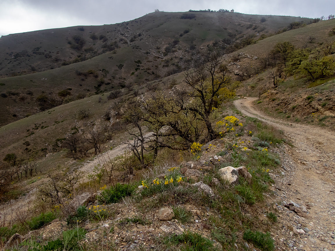 Меганом, изображение ландшафта.