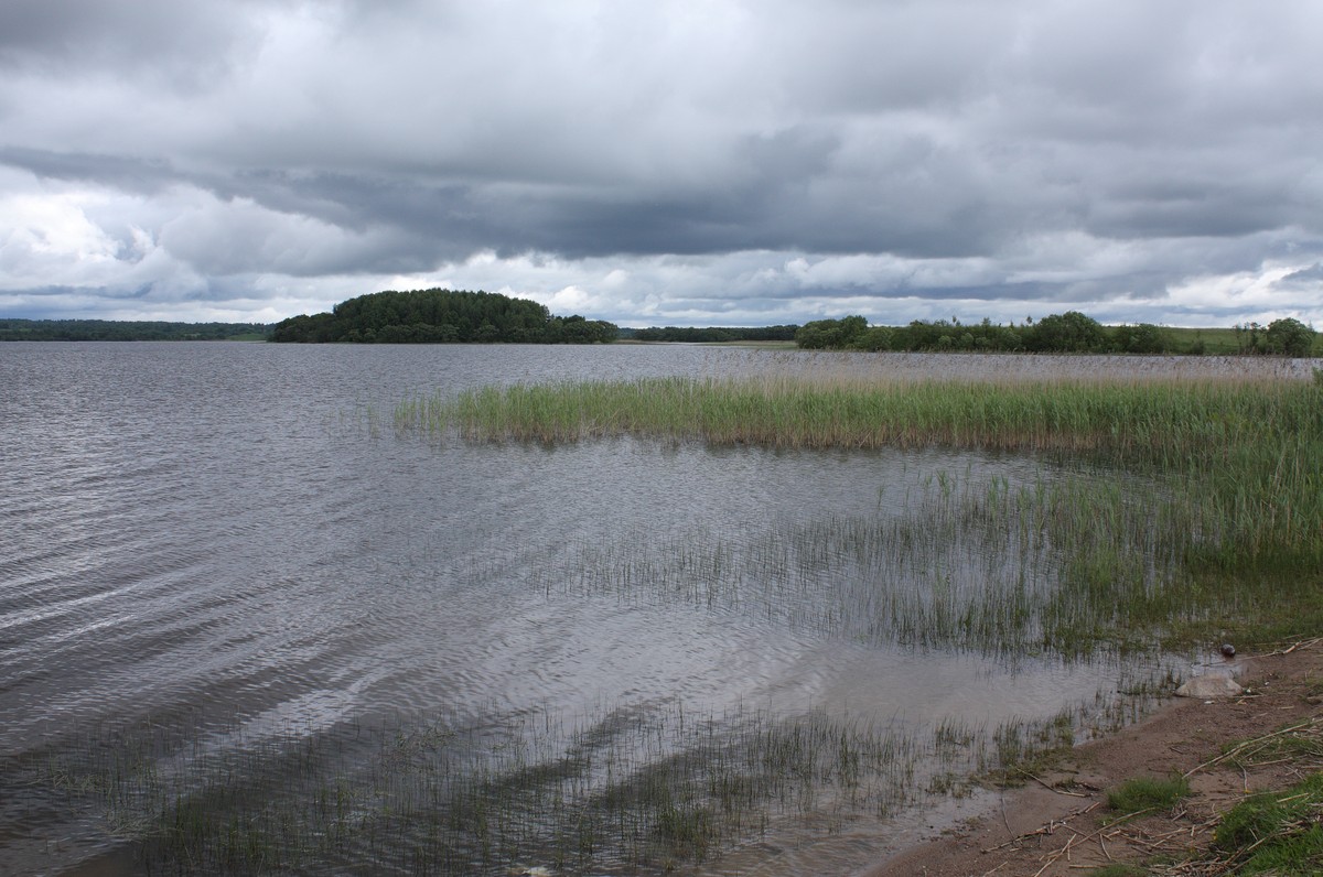 Езерище и окрестности, image of landscape/habitat.