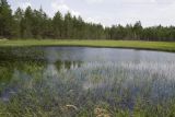 Чаваш Вармане, image of landscape/habitat.