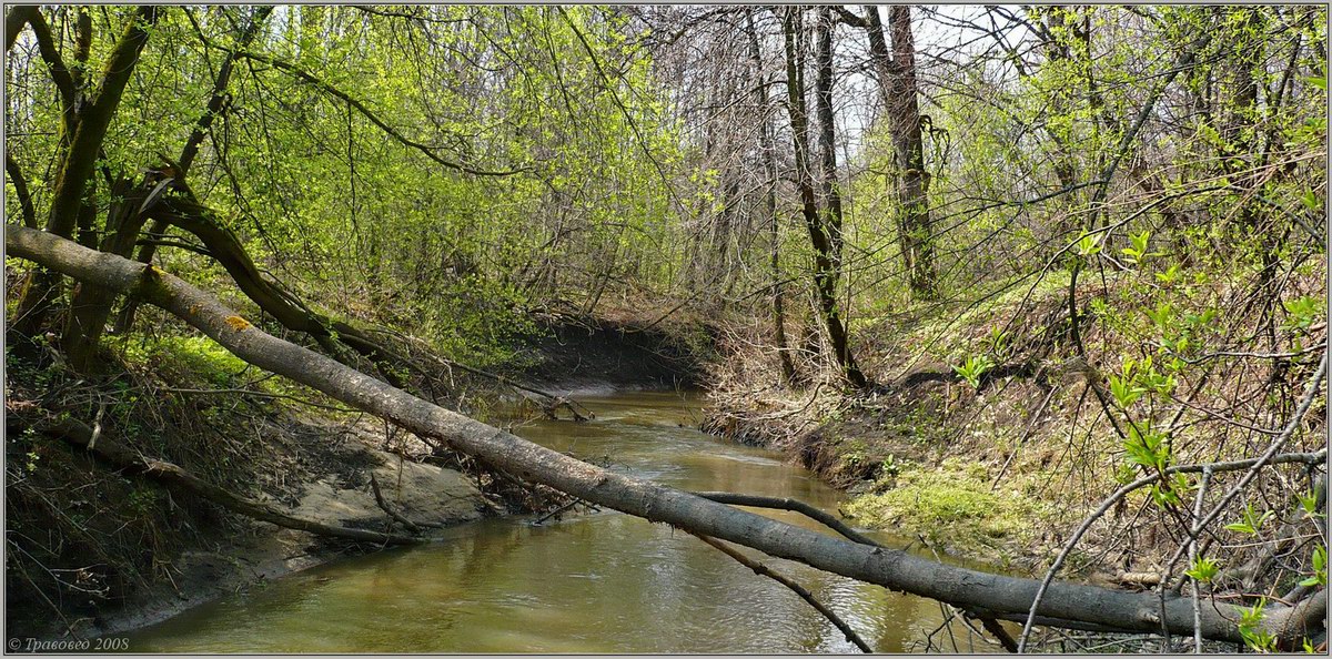 Пойма р. Паланка, image of landscape/habitat.