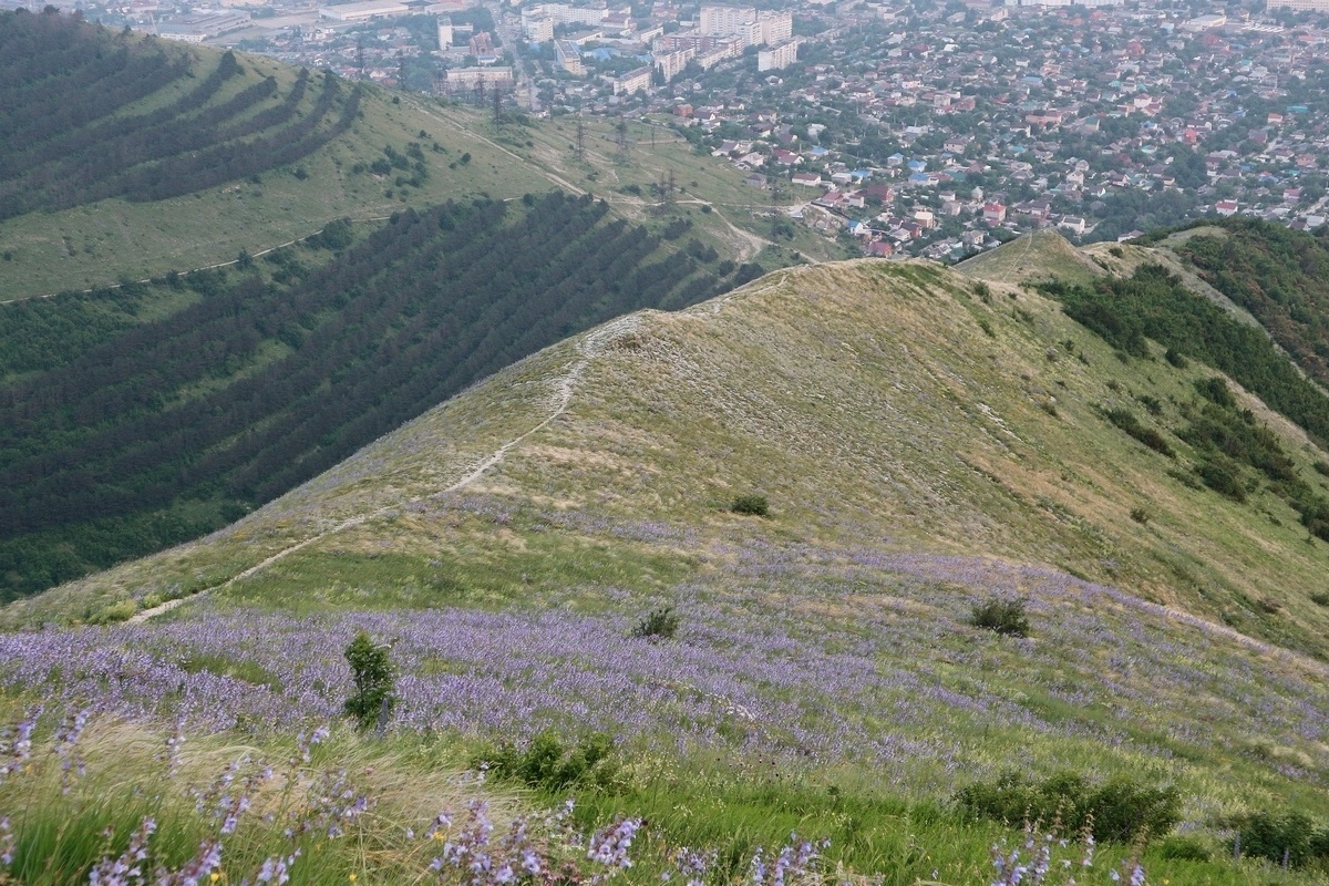 Гора Лысая-Новороссийская, изображение ландшафта.