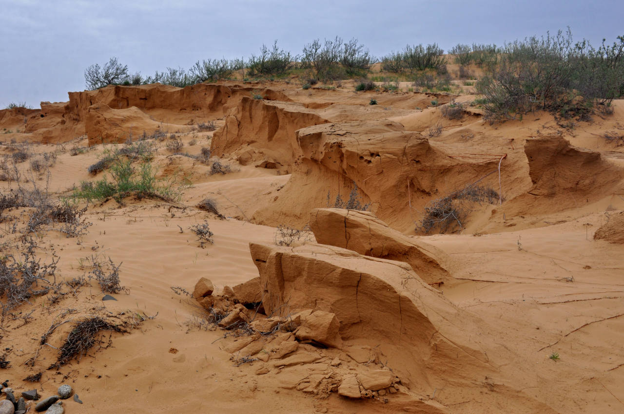 Окрестности посёлка Улан-Хол, image of landscape/habitat.