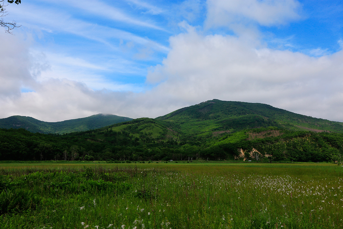 Устье реки Аввакумовка, image of landscape/habitat.