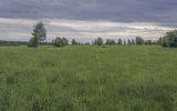 Image of landscape