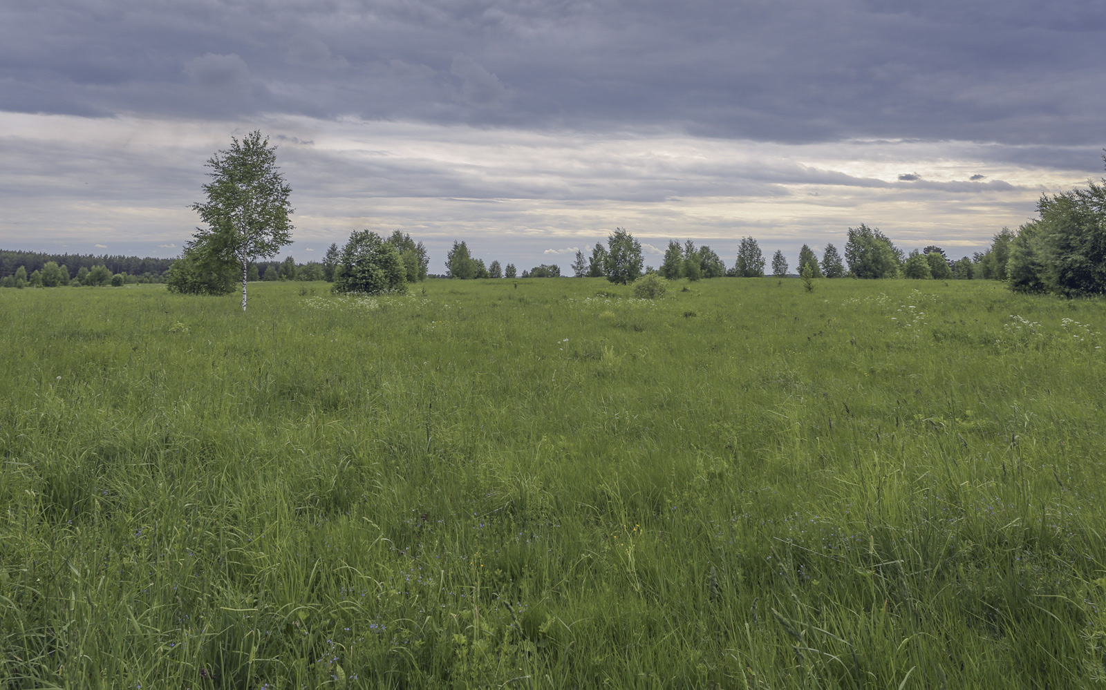 Старая Слобода и окрестности, image of landscape/habitat.