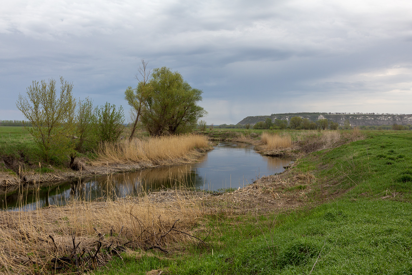 Дивногорье, image of landscape/habitat.