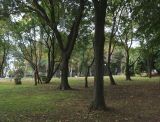 Бургас, image of landscape/habitat.