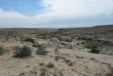 Image of landscape