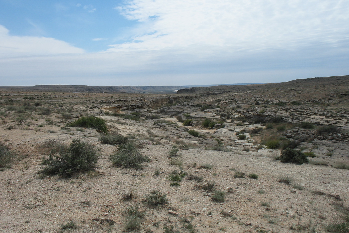 Саура, image of landscape/habitat.