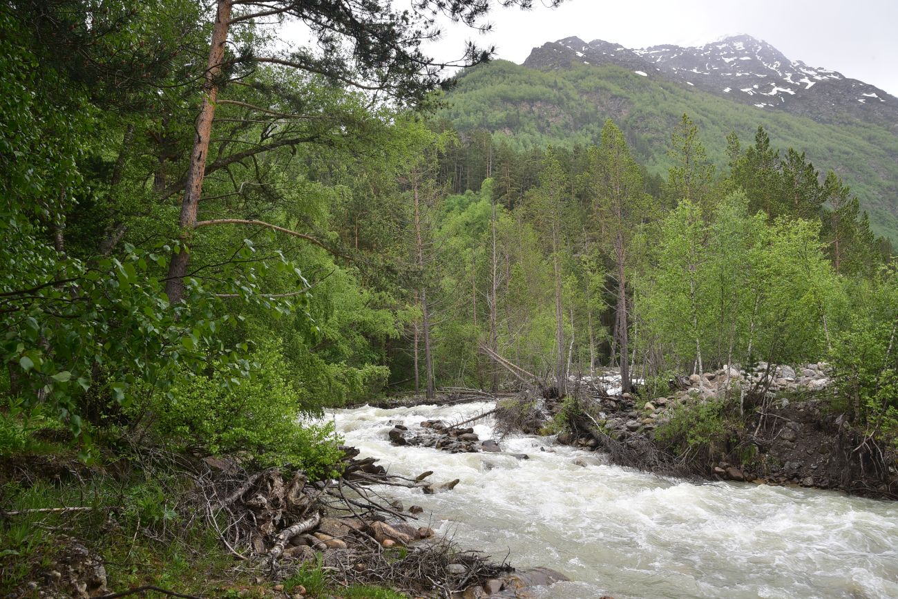 Долина реки Донгуз-Орун, image of landscape/habitat.