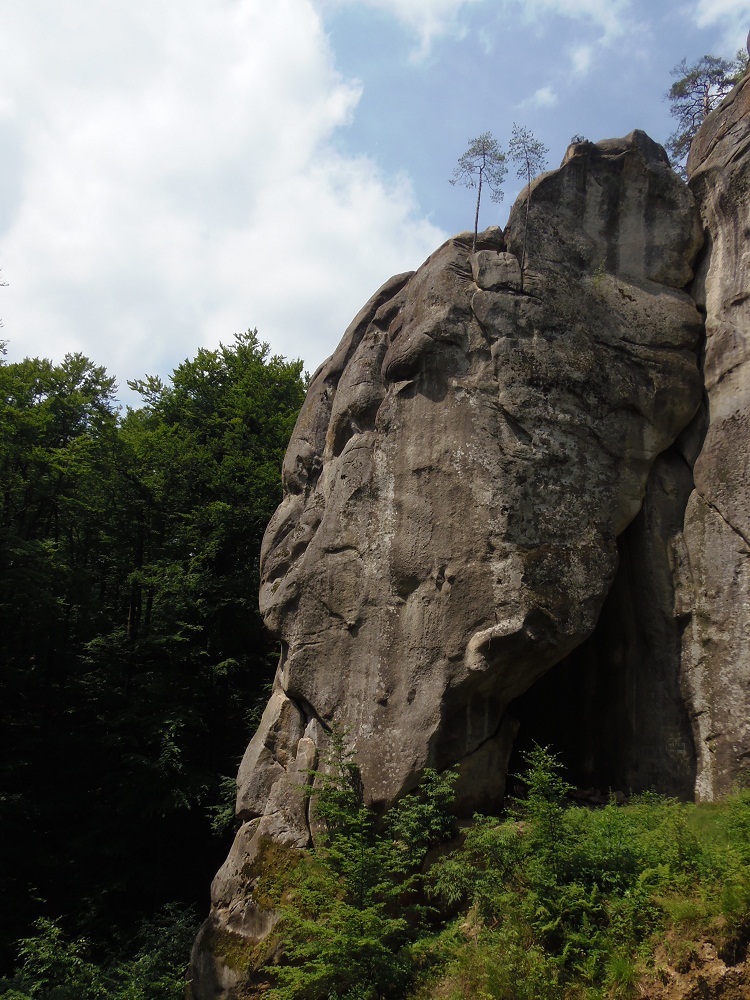 Скалы Довбуша, image of landscape/habitat.