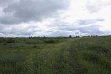 Image of landscape