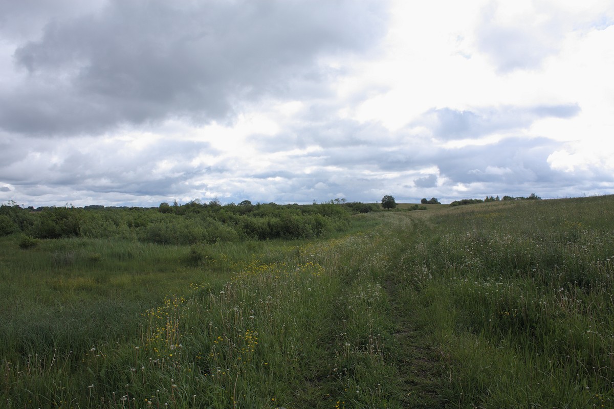 Езерище и окрестности, image of landscape/habitat.