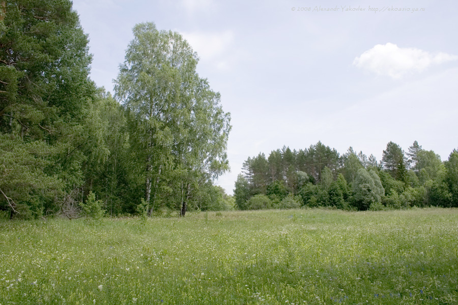 Чаваш Вармане, image of landscape/habitat.