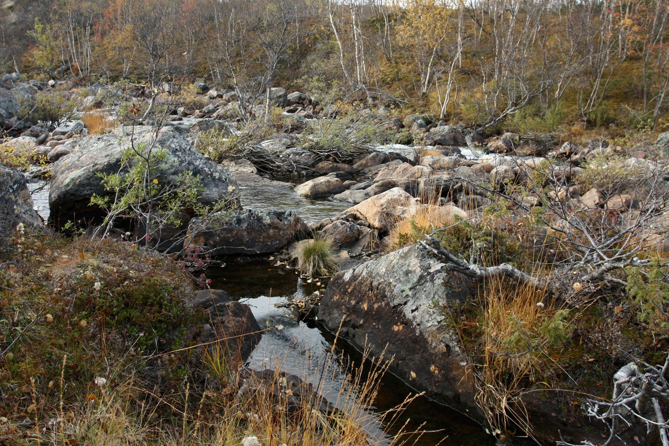 Юринга, image of landscape/habitat.