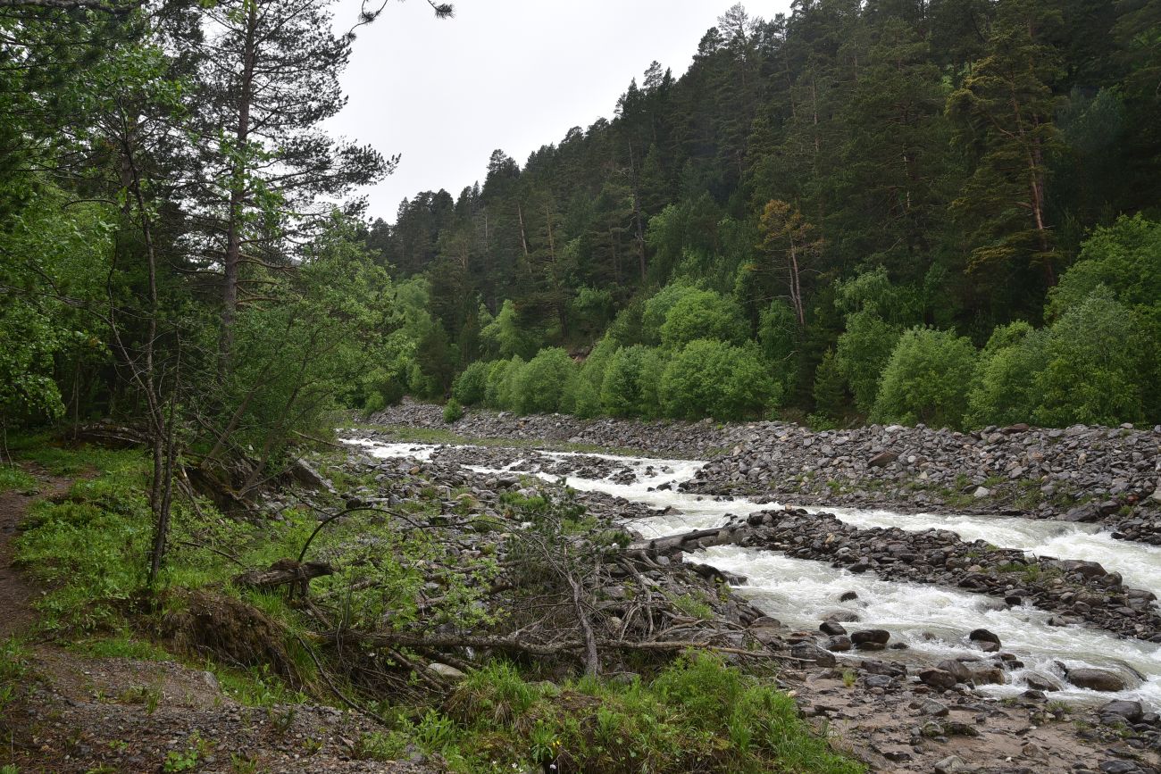 Долина реки Донгуз-Орун, image of landscape/habitat.