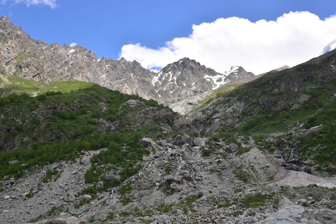 Улыбка Шхельды, image of landscape/habitat.