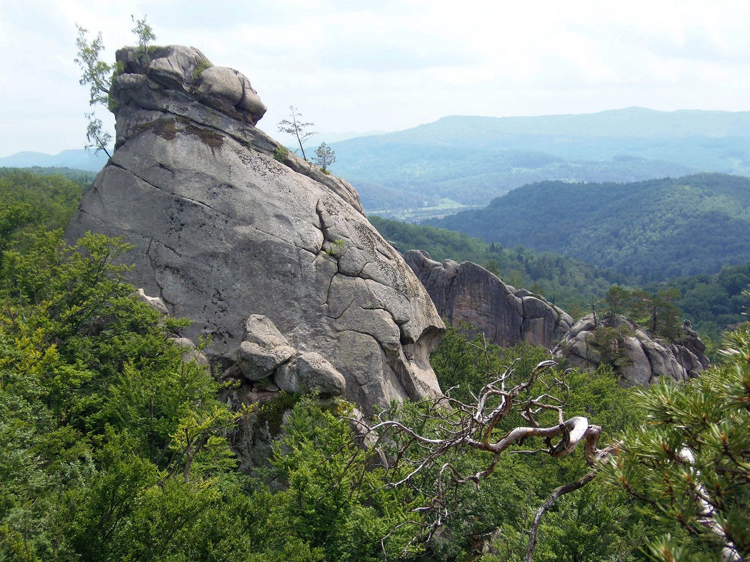 Скалы Довбуша, image of landscape/habitat.