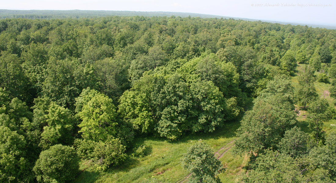 Чаваш Вармане, image of landscape/habitat.
