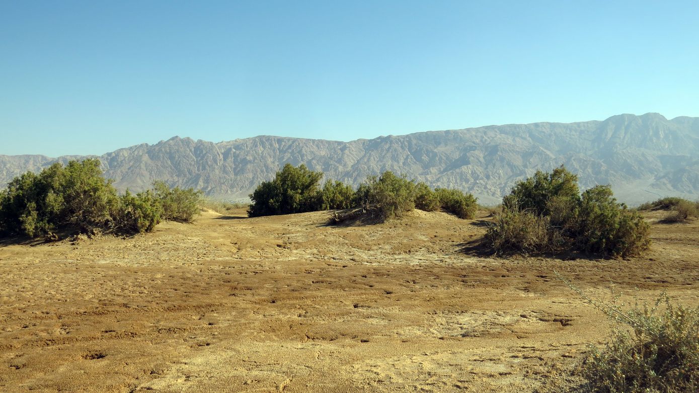 Солончак Мелихат-Йотвата, image of landscape/habitat.