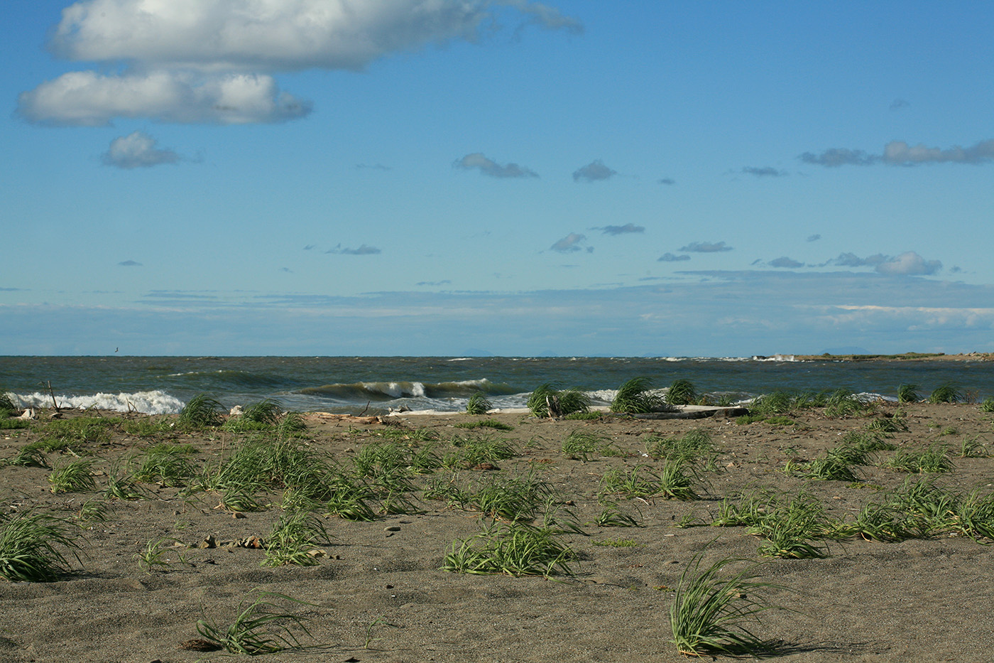 Томари, image of landscape/habitat.