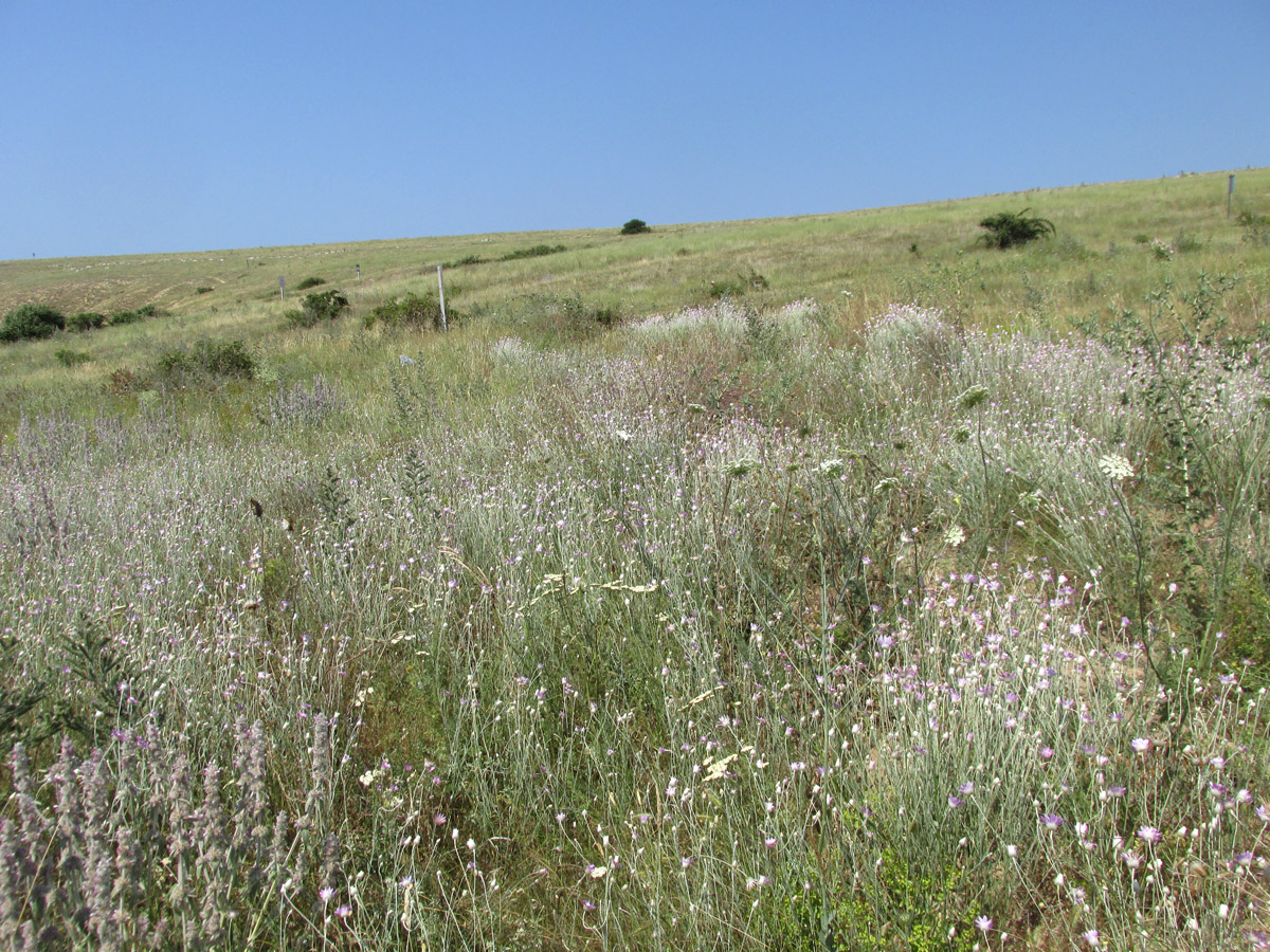 Большой Кастель, image of landscape/habitat.