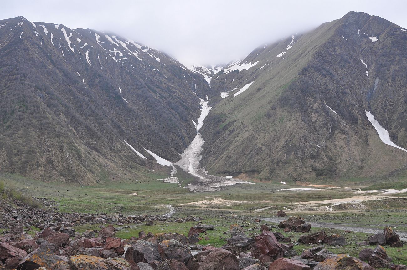 Трусовское ущелье, image of landscape/habitat.