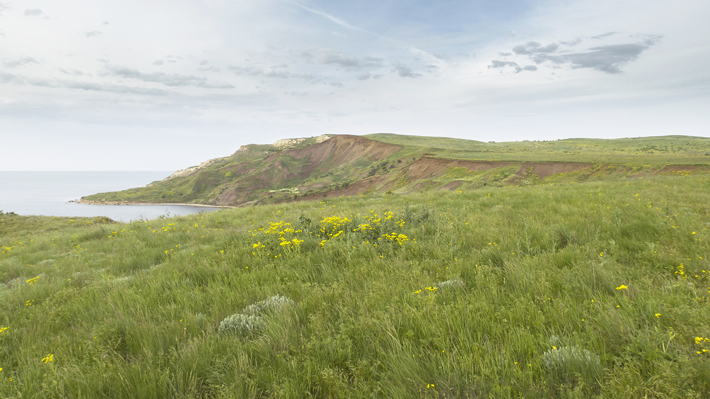 Мыс Тархан, image of landscape/habitat.