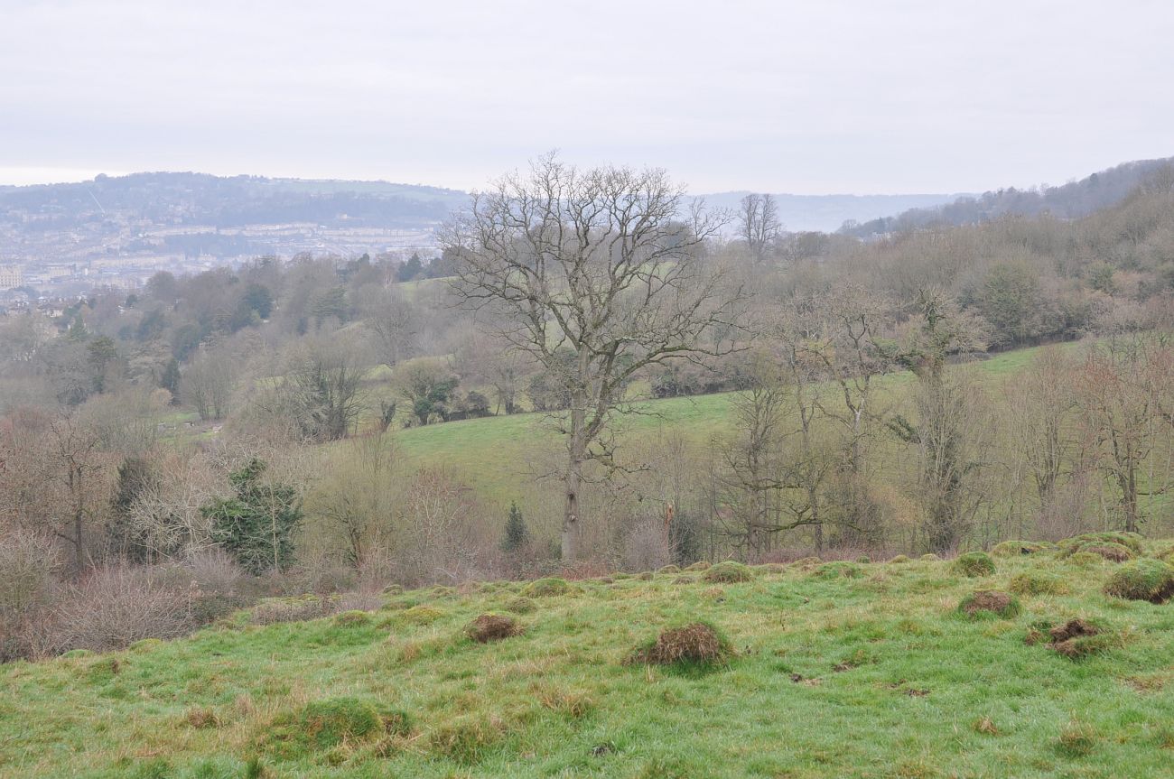 Парк "Ландскейп Гарден", image of landscape/habitat.