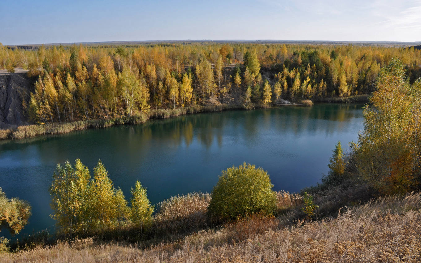 Окрестности села Люторичи, image of landscape/habitat.