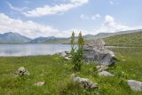 Ацгарские озёра, image of landscape/habitat.