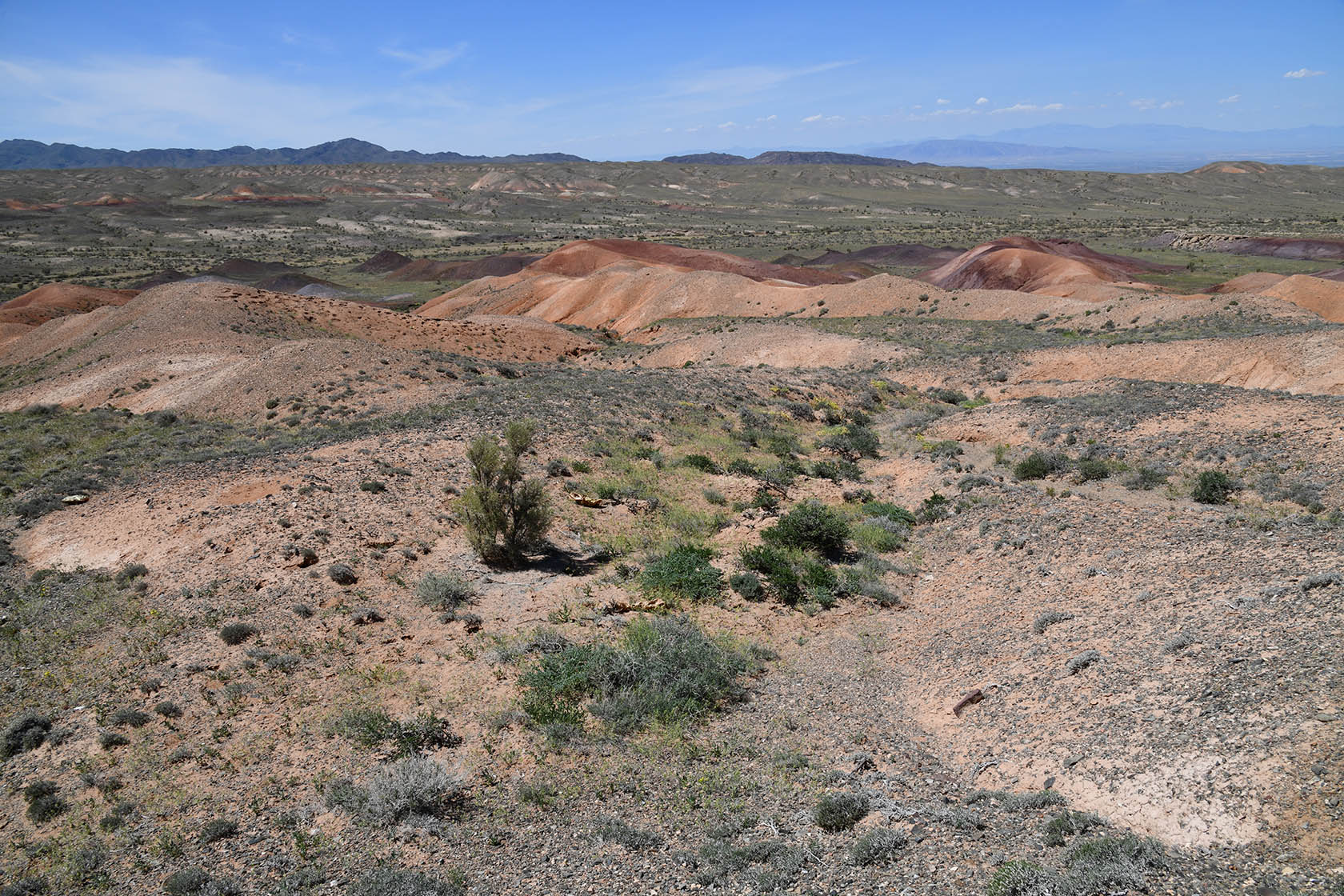 Горы Улькен-Богуты, image of landscape/habitat.