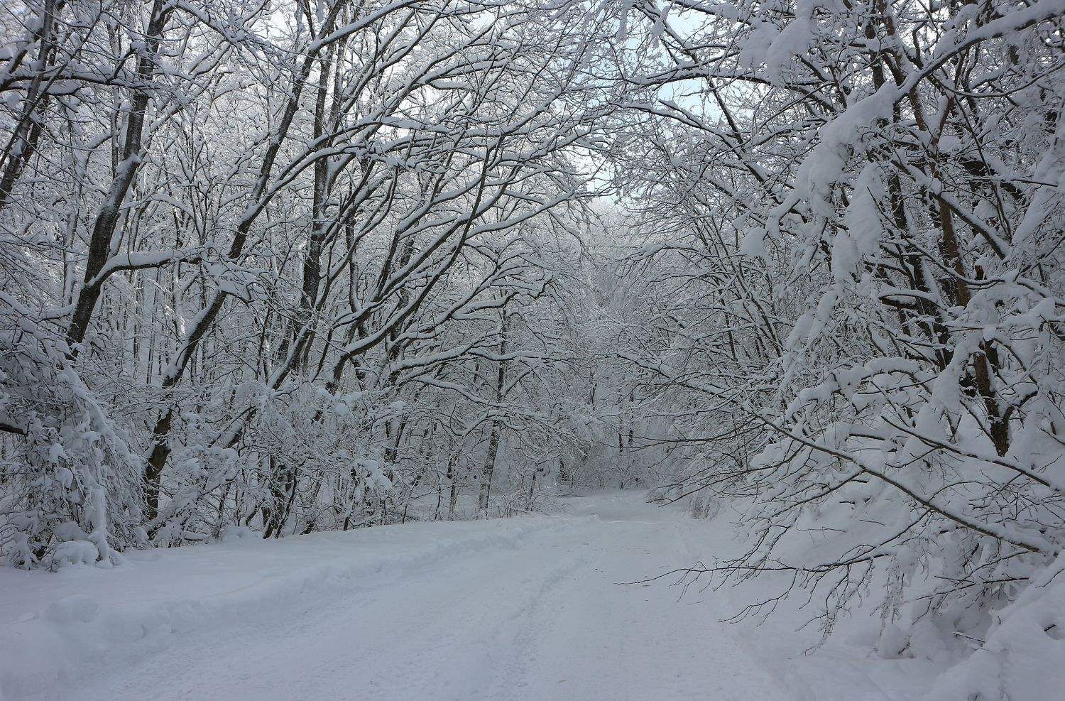 Неберджаевский перевал, image of landscape/habitat.